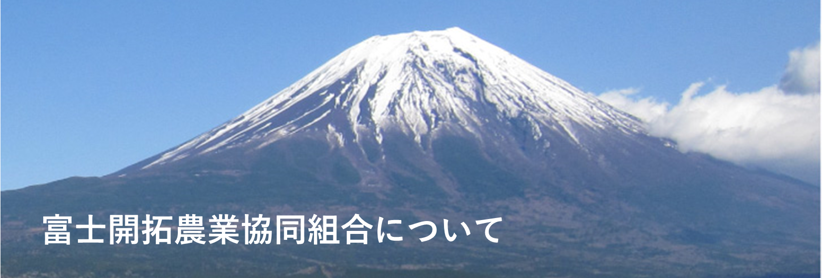 富士開拓農協について
